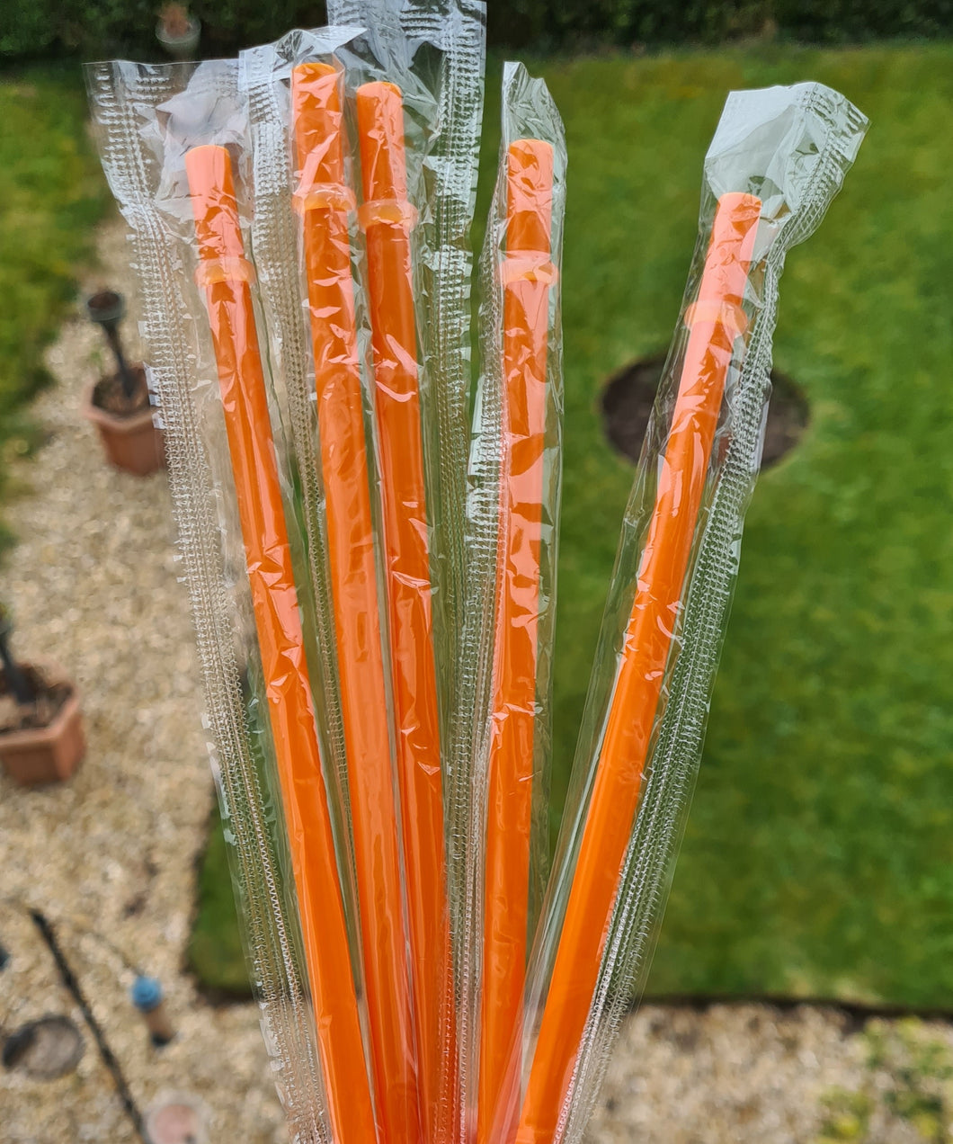 Orange reusable straws